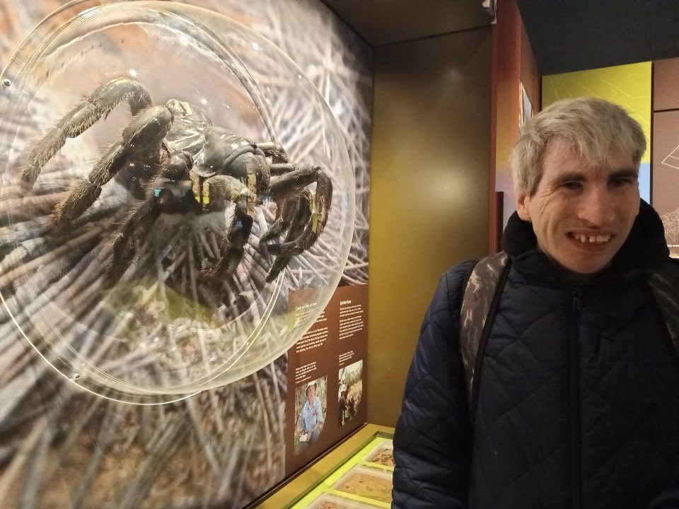 a man standing in front of a giant spider