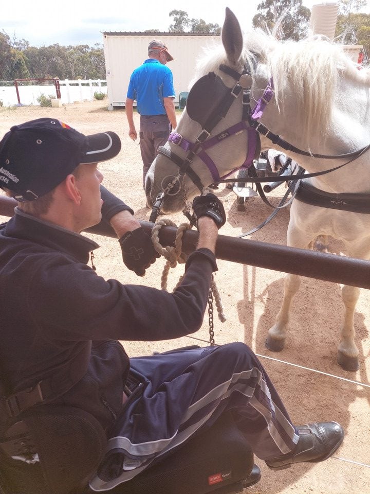 a man sitting in a wheel chair petting a horse