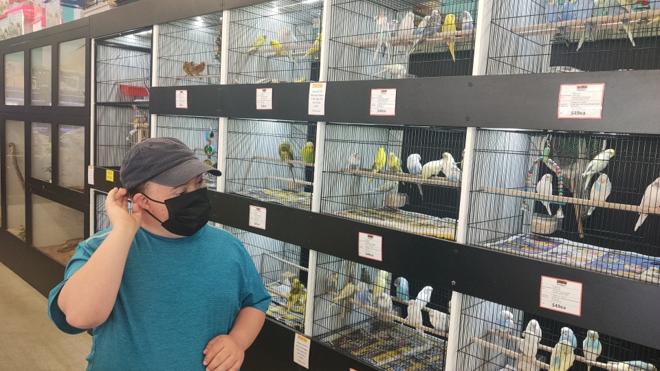 a man wearing a face mask and standing in front of many birds