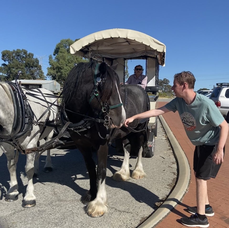 a man petting a horse that is pulling a carriage