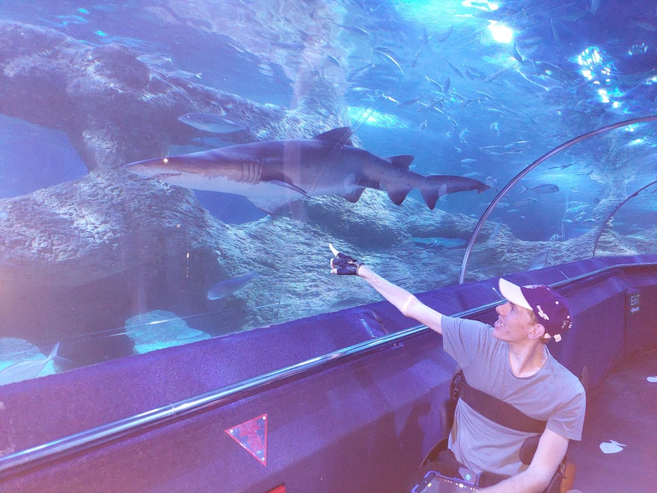 a man taking a picture of a shark in an aquarium